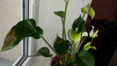 20180101_103626.jpg