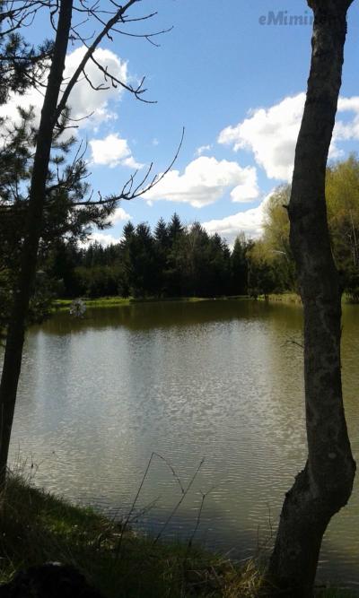 20170502_151844.jpg