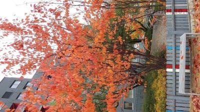 20161024_111937.jpg