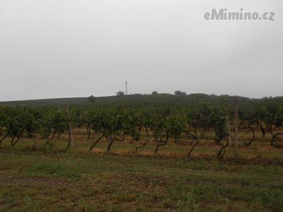 DSCN0682.JPG