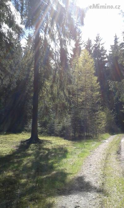 20170502_153240.jpg