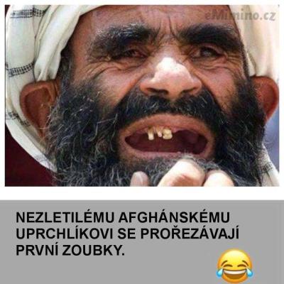 6292312-afghanec.jpg?5