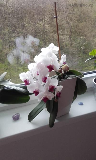 20170423_091348.jpg