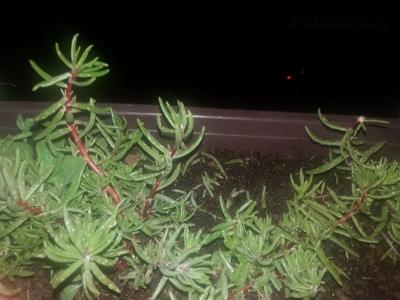 20170607_233456.jpg