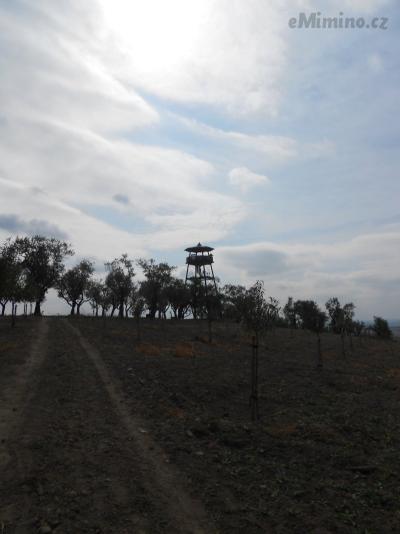 DSCN0596.JPG