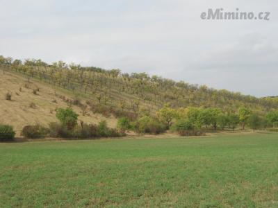 DSCN0609.JPG