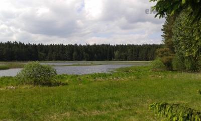 20170524_150209.jpg