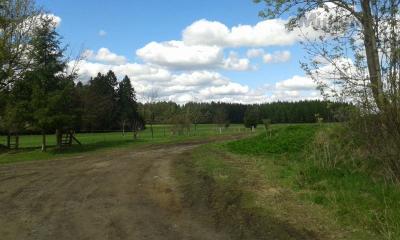 20170502_150855.jpg
