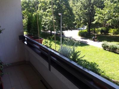 20170601_111935.jpg