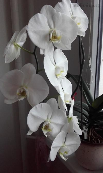 20170212_141642.jpg