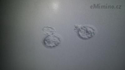 20170301_111242.jpg