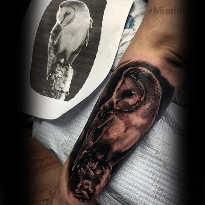 C__Data_Users_DefApps_AppData_INTERNETEXPLORER_Temp_Saved Images_Fantastic-Idea-Of-Barn-Owl-Tattoo.j