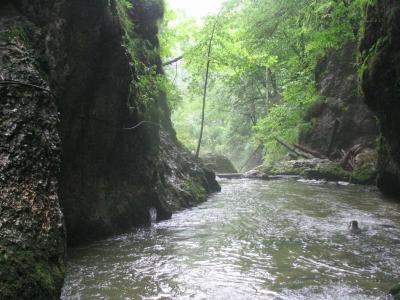 ponorná řeka, zde nad povrchem