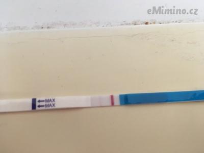 E80DE5E6-6792-4F76-A1BC-C544FE0DF3C9.jpeg