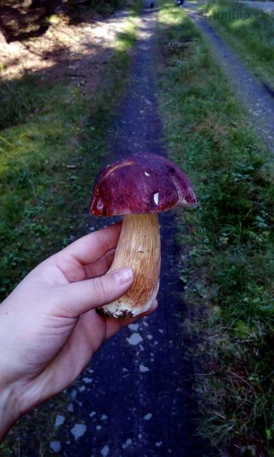 IMG-20170928-WA0001.jpeg