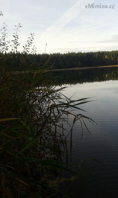 20161101_152836.jpg