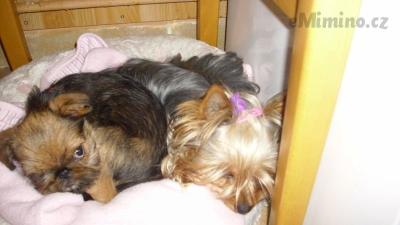 IMG_0326.JPG