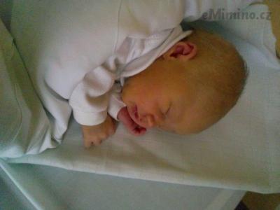 IMG_20161225_192511.jpg