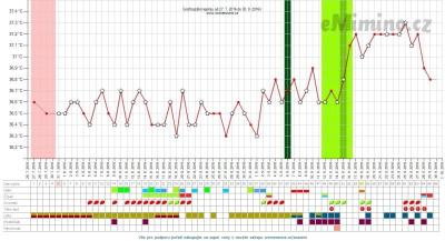 temperaturegraph.png