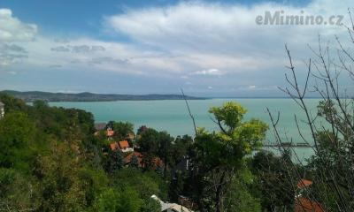 IMAG0167.jpg