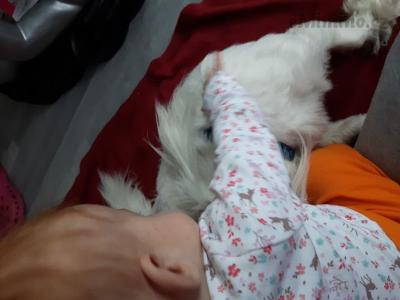 20161007_105900.jpg