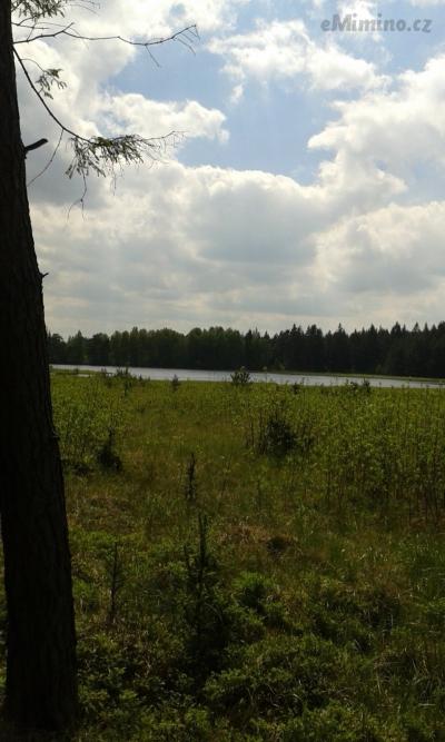 20170524_145454.jpg