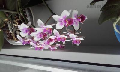 20170212_141659.jpg