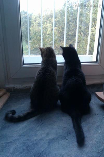 IMAG0471.jpg