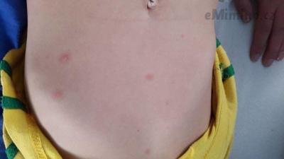n.jpg
