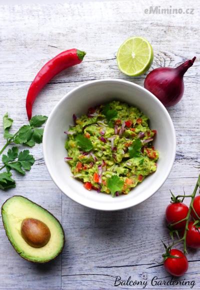 guacamole 2.jpg