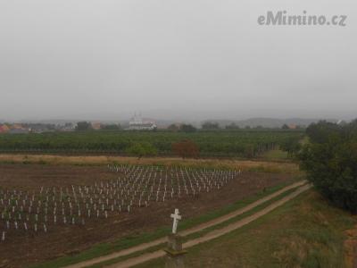 DSCN0658.JPG