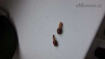 20170708_193642.jpg
