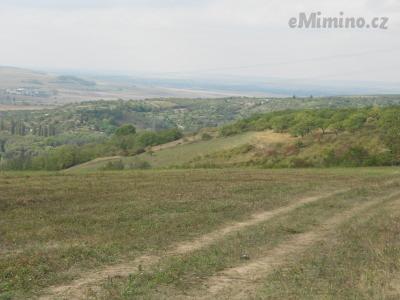 DSCN0627.JPG
