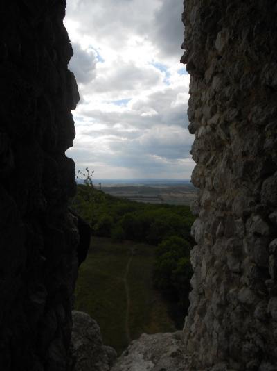 DSCN0387.JPG