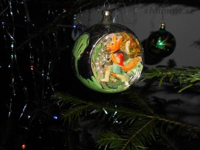 DSCN2171.jpg