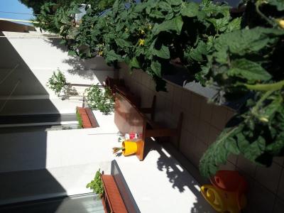 20170601_180855.jpg