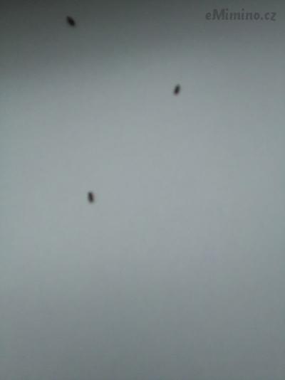 IMG_20170501_192755.jpg