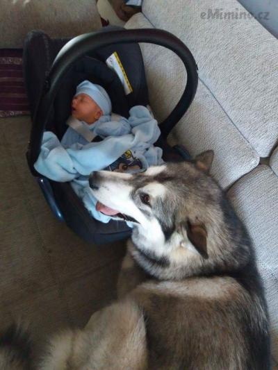 received_10155373545204521.jpeg