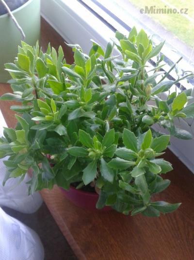 20170608_150014.jpg