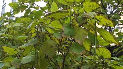 20161024_111612.jpg