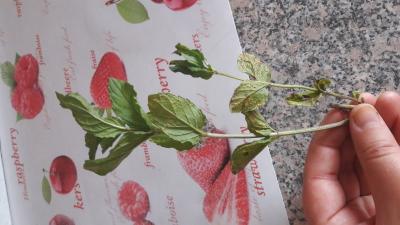 20170626_131348.jpg