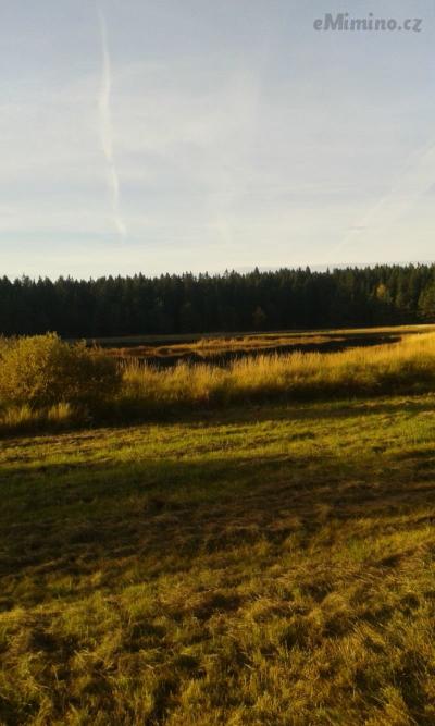 20161101_152312.jpg