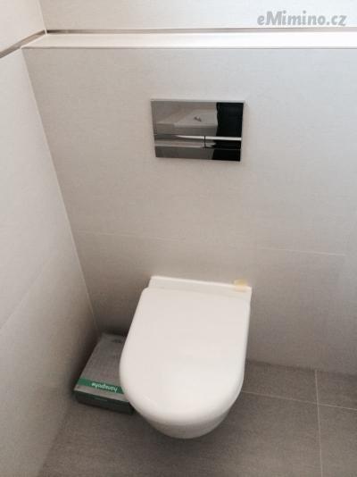 image.jpeg