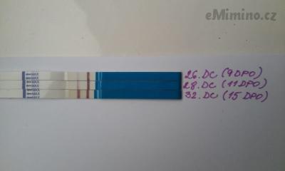20161004_082956.jpg