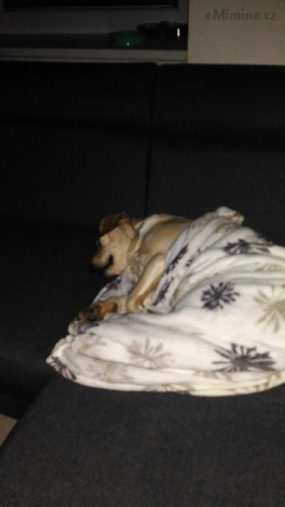 P_20170408_010247.jpg