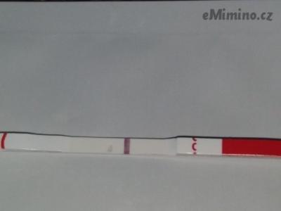 new1x1078f6a45723d34fe9a2a79e6e27c14e.jpg