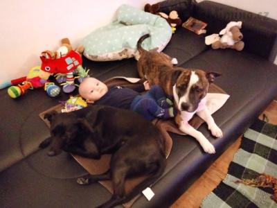 20171228_094415_HDR.jpg