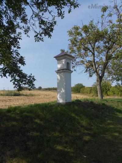 DSCN0420.JPG
