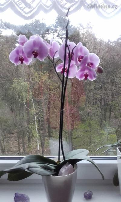 20170423_091617.jpg