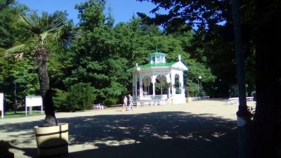 IMG_20170619_094016.jpg